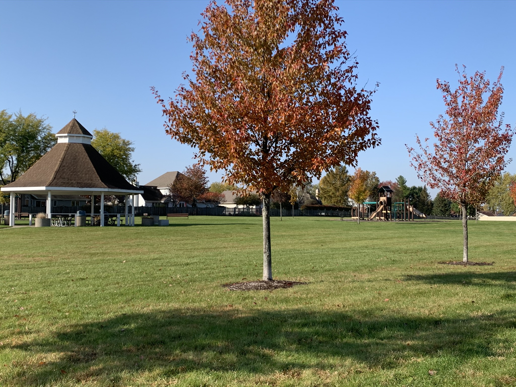 Marcotte Park Fall 1