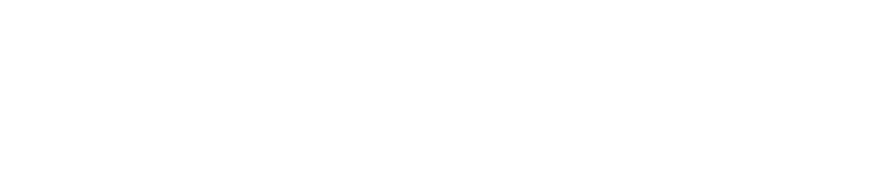 linkpoint media logo