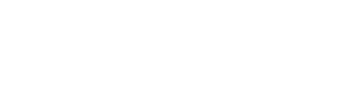 village of bourbonnais