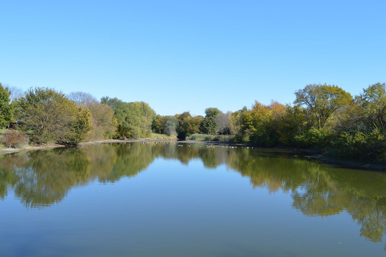 outdoor river landscape with trees in the background