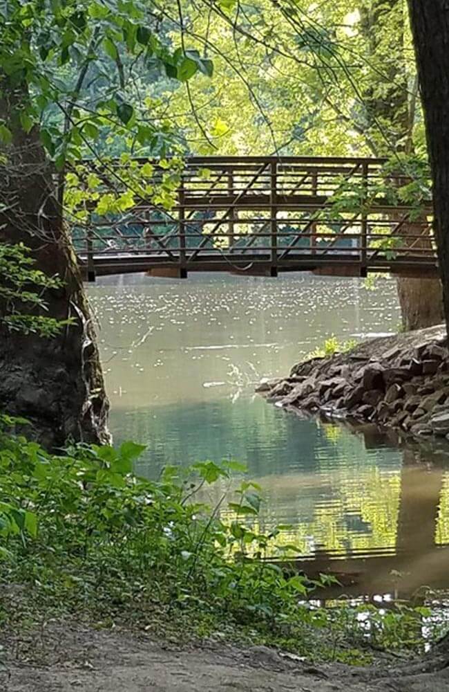 bridge going over river water